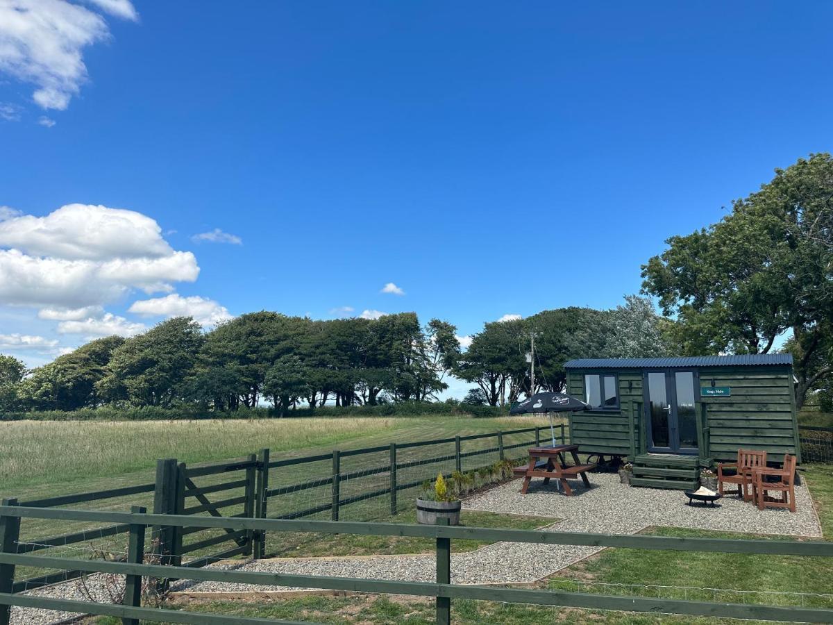 Stags Hide Hotell Minwear Exteriör bild